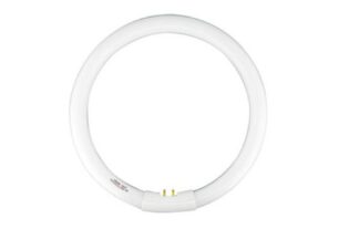 Tubo fluorescente circular trifósforo T9 22W