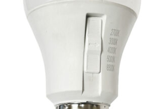 Bombilla Led E27 A60 10W 810lm Interruptor 5CCT