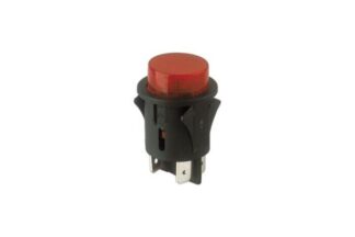 Interruptor a Pulsador Luminoso Empotrable 10A/250V