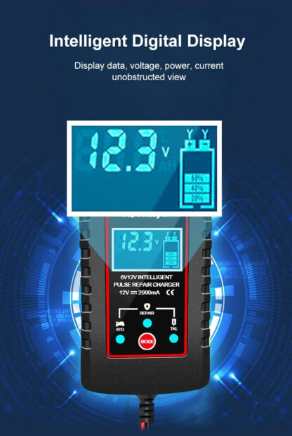 Cargador Regenerador Baterias Plomo 6 y 12V (2 a 20Ah) Plomo, AGM - Imagen 5