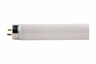 Tubo Fluorescente Philips 36W, T8 120cm G13, 865 6500K (2 Unidades)