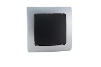 Conmutador empotrable 10A/250V plata/gris