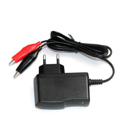 Cargador Baterias Plomo, AGM, GEL, VRLA, 6V 1000mAh