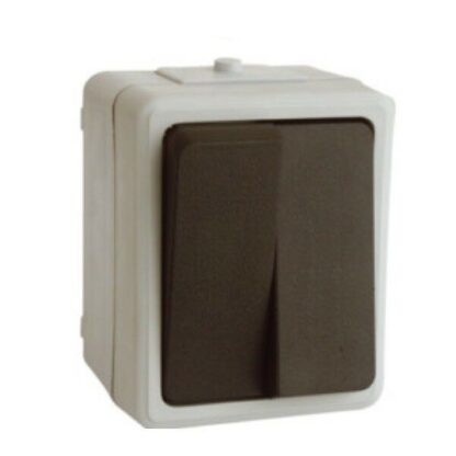 Interruptor doble de superficie estanco 65×80×50 mm