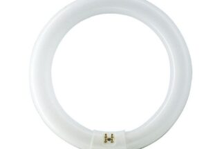 Tubo Fluorescente T9, TL-E 22W/865 G10q 6500K Philips