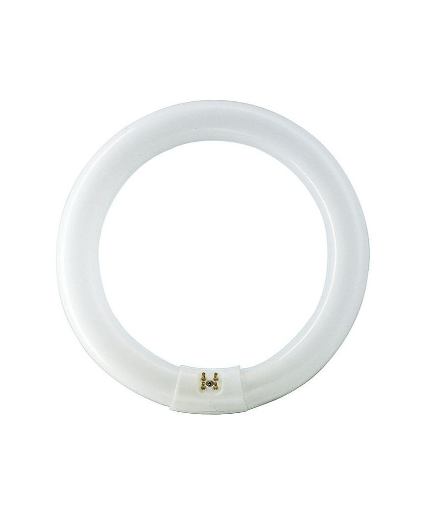 Tubo Fluorescente T9, TL-E 22W/865 G10q 6500K Philips