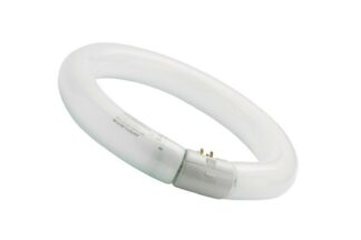 TUBO FLUORESCENTE Sylvania 32W, T9 G10q, 840 4000K