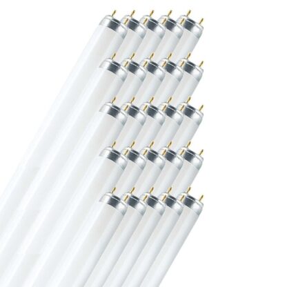 Tubo Fluorescente OSRAM (25 unidades) T8 Lumilux 58W/865 150cm - Imagen 4