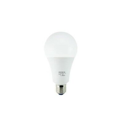 Bombilla LED clásica E27 A80 18W