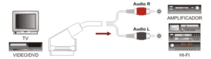 Cable Profesional Euroconector a 2 RCA Audio Estéreo 3m - Imagen 3